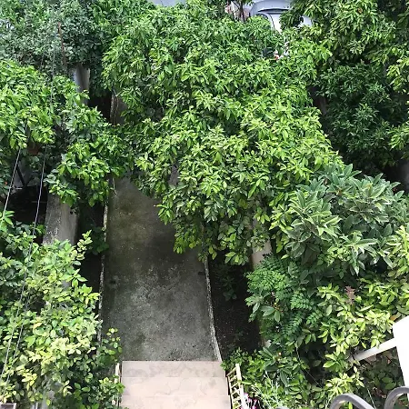 Bed & Breakfast Nina