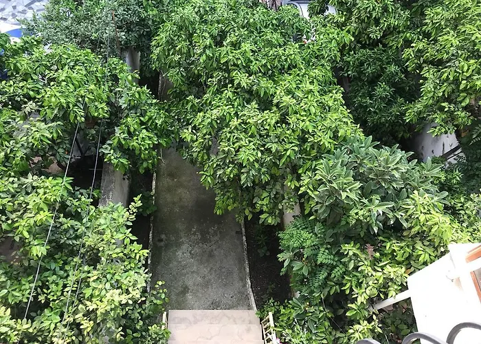 Bed & Breakfast Nina